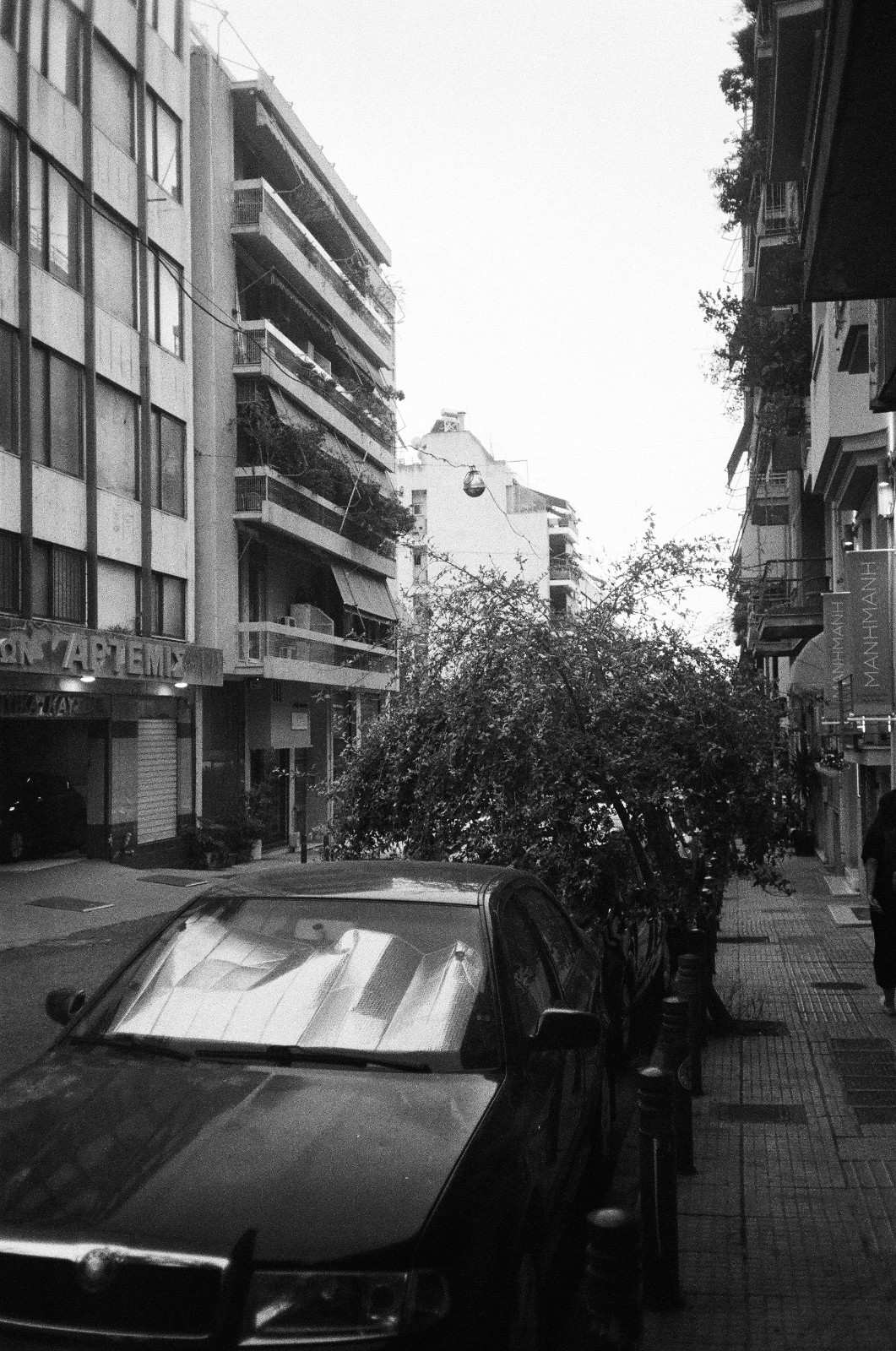 photography 15