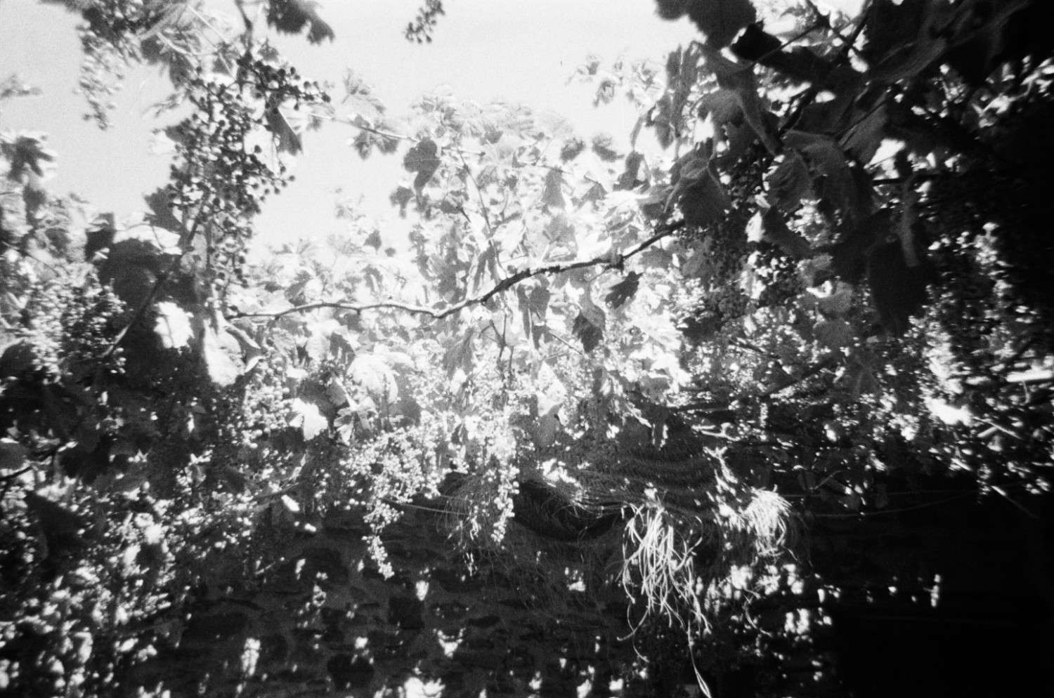 photography 5