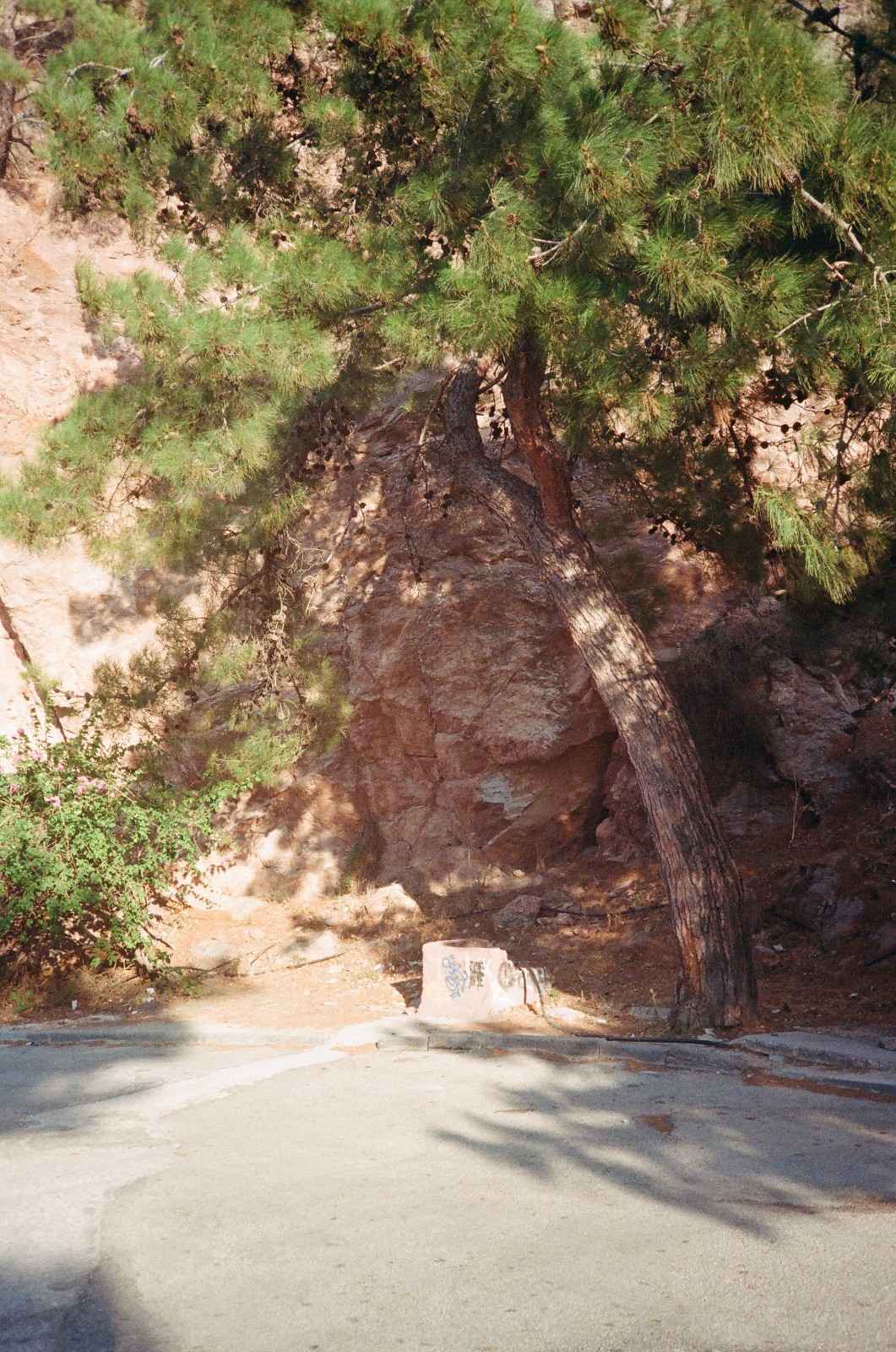 n-6s