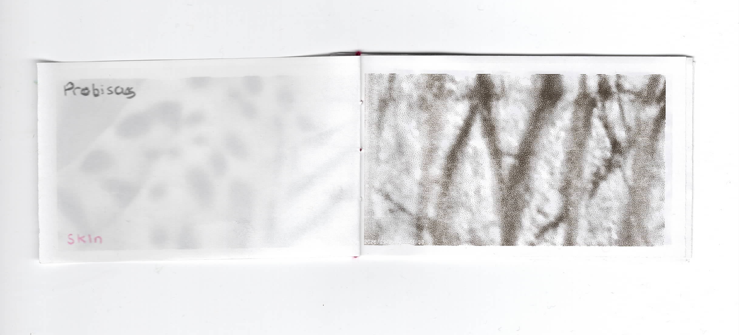 probicus-2s