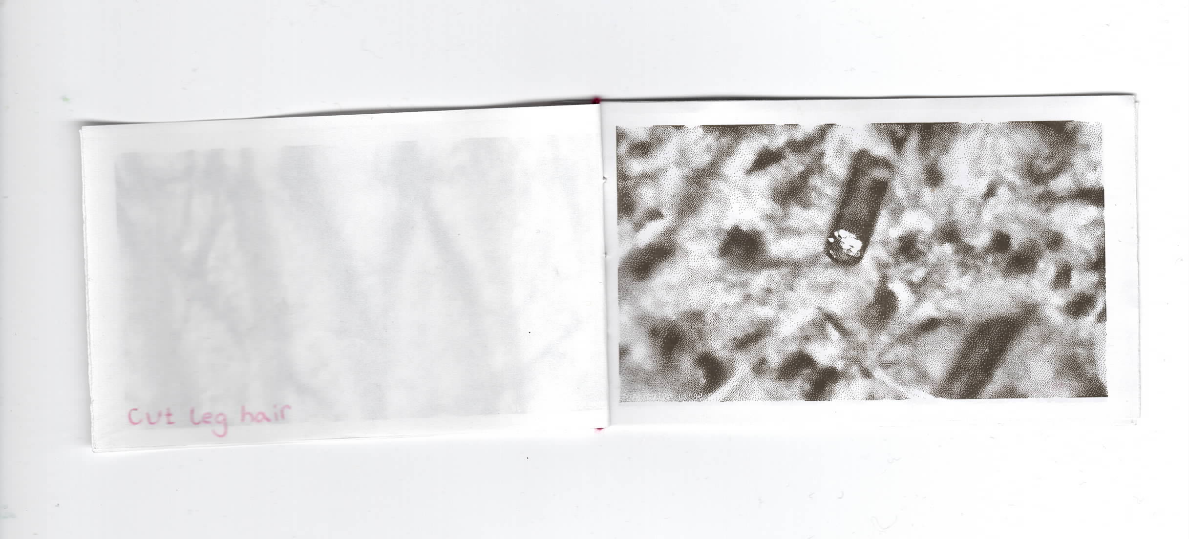 probicus-3