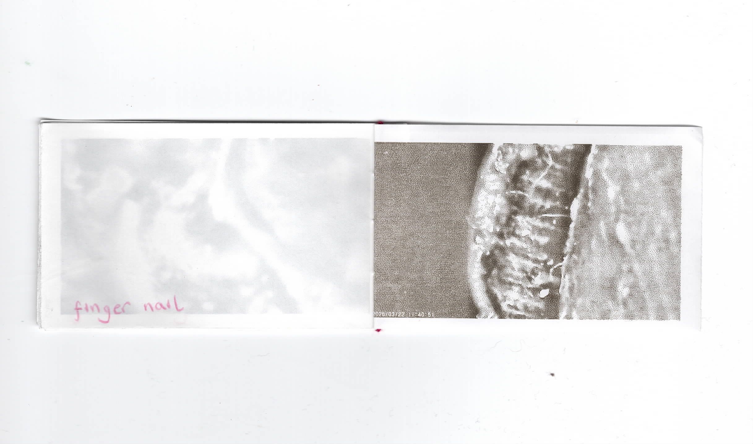 probicus-6